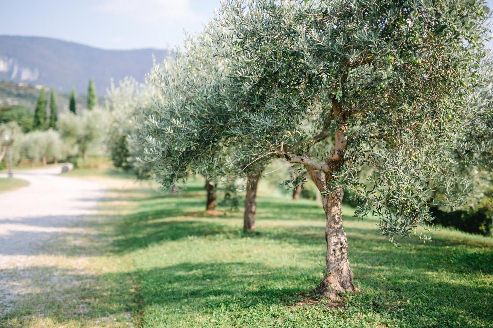 Tenuta La Presa Caprino Veronese Εξωτερικό φωτογραφία