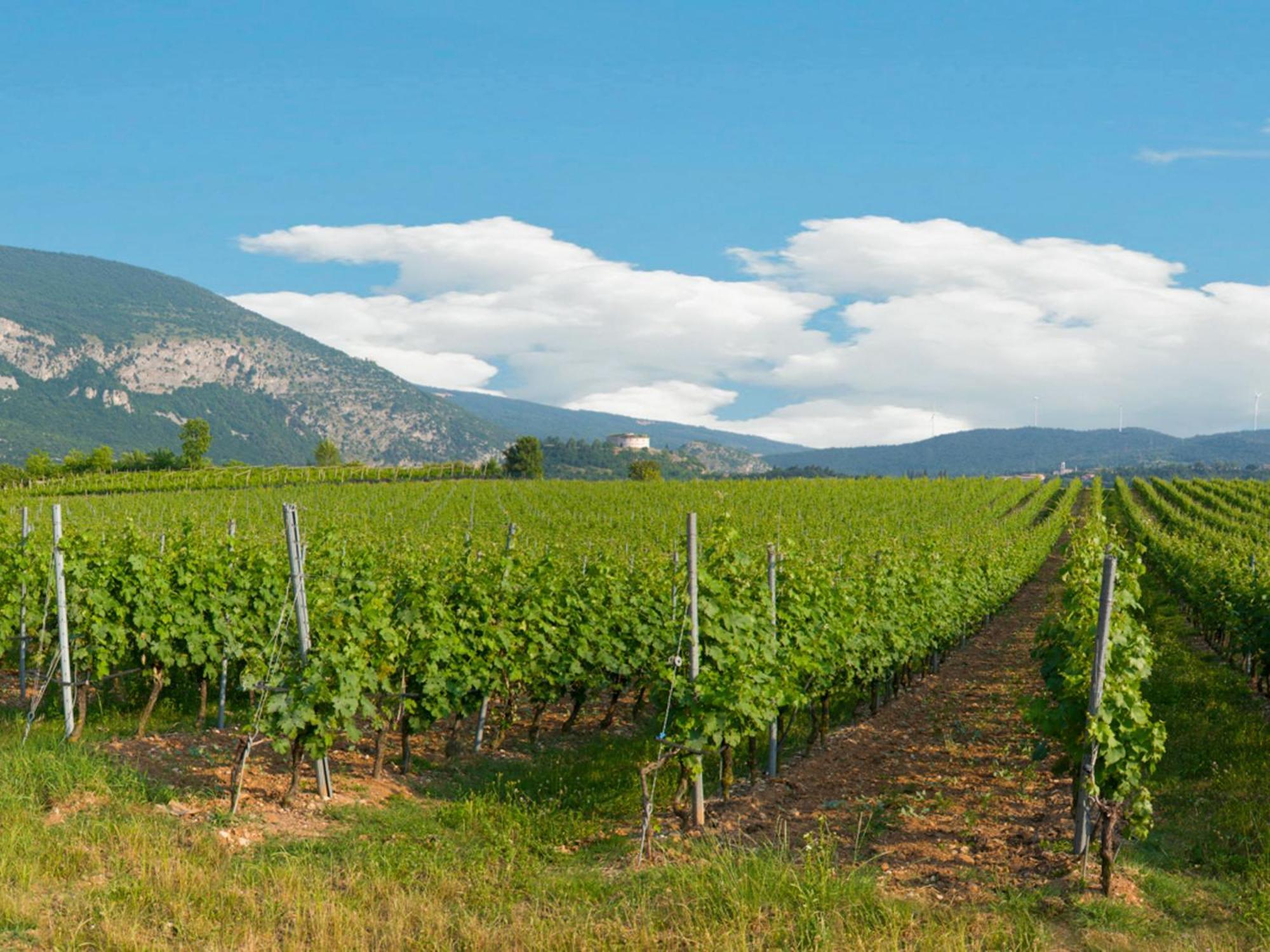 Tenuta La Presa Caprino Veronese Εξωτερικό φωτογραφία