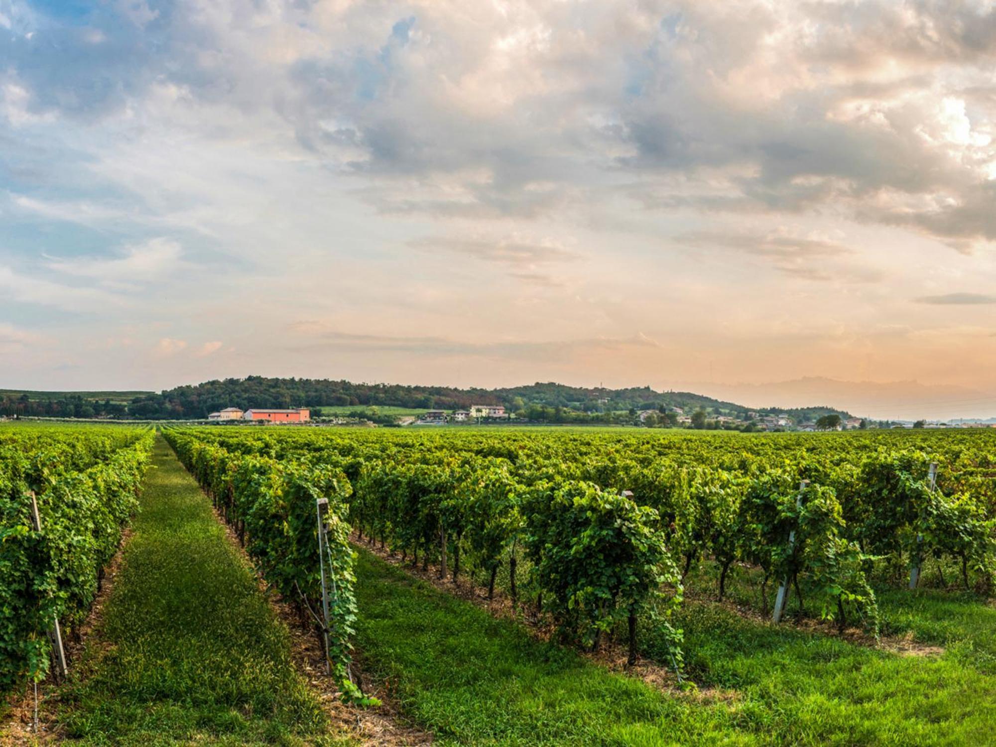 Tenuta La Presa Caprino Veronese Εξωτερικό φωτογραφία